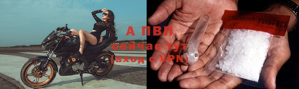мяу мяу мука Белокуриха
