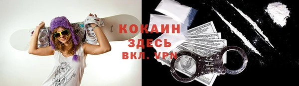 мяу мяу мука Белокуриха