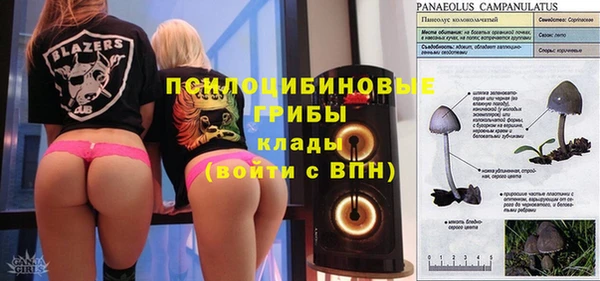 мяу мяу мука Белокуриха