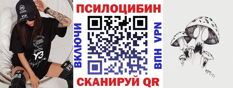 Псилоцибиновые грибы мицелий где можно купить Верещагино
